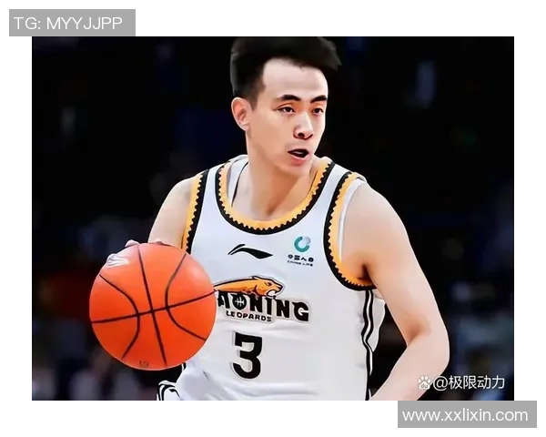 2017年CBA季后赛辽宁队与吉林队精彩对决回顾与分析