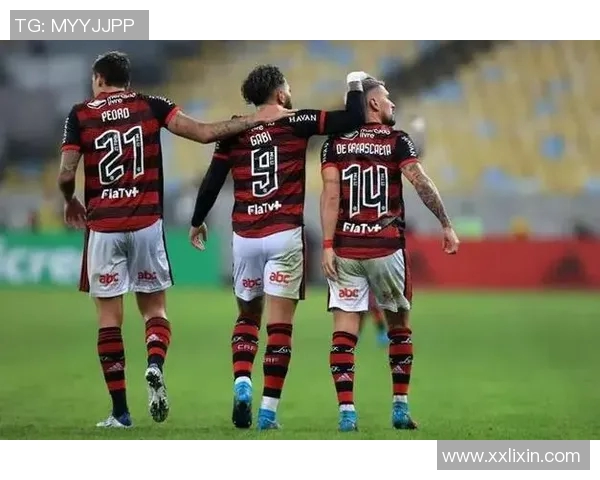 希拉尔与艾因对决前瞻分析及比赛结果预测