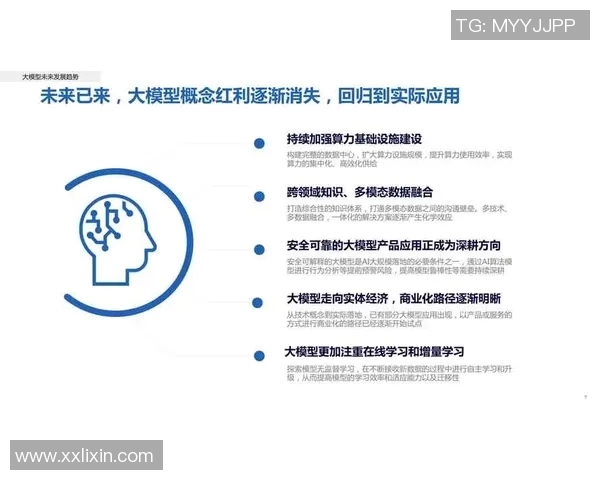 查路与洪卡分析的深度比较与应用探讨