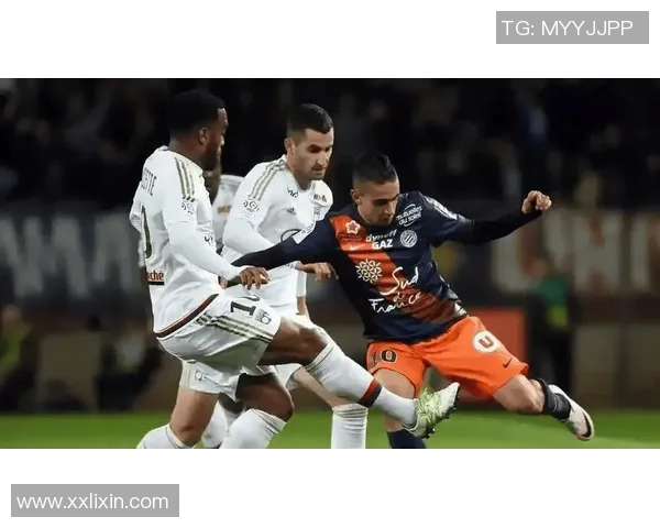 2019年2月尼奥特主场迎战南锡的精彩对决回顾与分析 2019年2月尼奥特主场迎战南锡的精彩对决回顾与分析