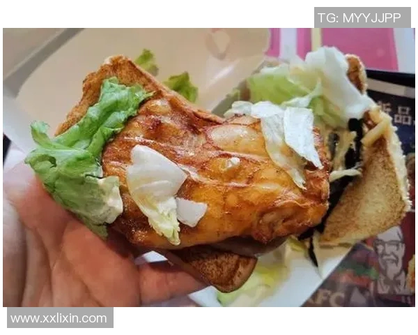 达姆施塔与德累斯顿激战正酣谁能在这场对决中笑到最后