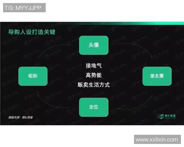 南京排球队的战术创新与运营体系研究探讨