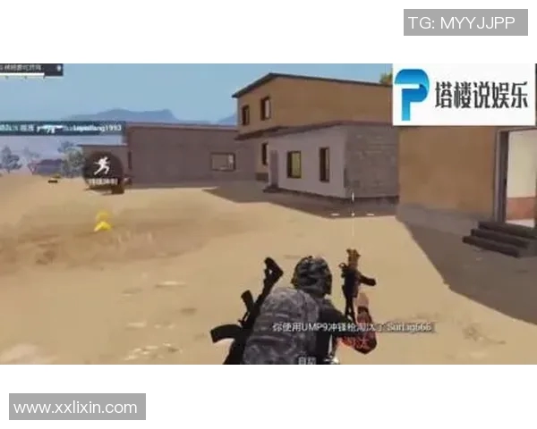 和平精英深度解析IG战队运营策略与成功之道