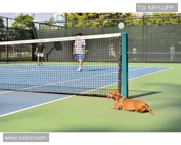 深入探讨杭州网球队耐力表现的数据分析与训练策略